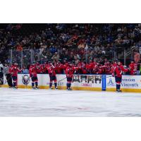 South Carolina Stingrays exchange high fives along the bench