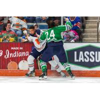 Florida Everblades forward Kyle Neuber prepares to deliver a blow against the Fort Wayne Komets