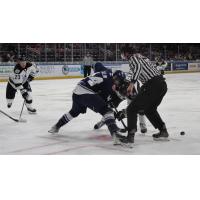 Wichita Thunder face off with the Worcester Railers