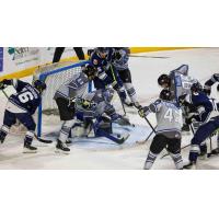 Wichita Thunder battle the Worcester Railers