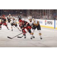 Grand Rapids Griffins battle the Chicago Wolves