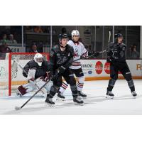 Peterborough Petes goaltender Easton Rye and defensemen Carson Cameron and Martin Matejicek (far right)