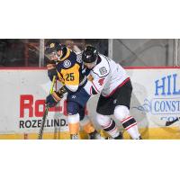 Norfolk Admirals' Brandon Osmundso battles Adirondack Thunder's Kurt Gosselin