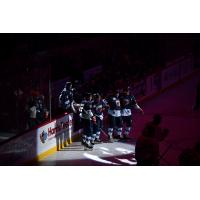 South Carolina Stingrays pose after a goal