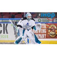 Wichita Thunder goaltender Gabriel Carriere