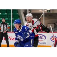 Belleville Senators battle the Syracuse Crunch