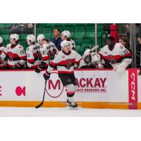 Belleville Senators exchange congratulations at the bench