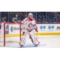 Grand Rapids Griffins' Jack Campbell