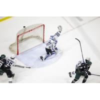 Wenatchee Wild's Daniel Hauser in action