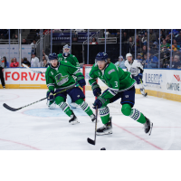 Florida Everblades' Jordan Sambrook, Cam Johnson, and Anton Malmström on the ice