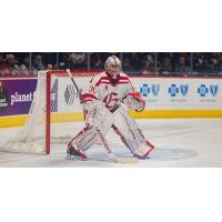 Grand Rapids Griffins goaltender Jack Campbell