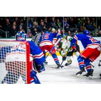 Kitchener Rangers face off with the London Knights