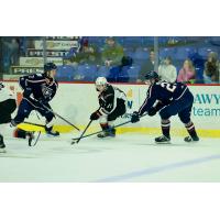 Vancouver Giants centre Adam Titlbach with the puck against the Tri-City Americans