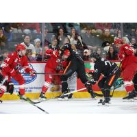 JC Brassard of the Allen Americans in the middle of the action against the Indy Fuel