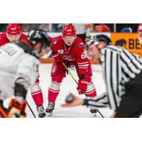 Allen Americans ready for action