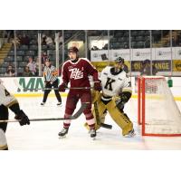 Peterborough Petes right wing Ryder McIntyre vs. the Kingston Frontenacs