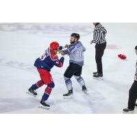 Allen Americans' Ayodele Adeniye battles Wichita Thunder's Dillon Boucher