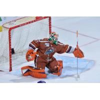 Orlando Solar Bears goaltender Alexis Gravel