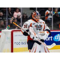 Flint Firebirds goaltender Nathan Day