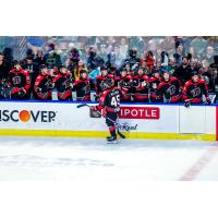 Rapid City Rush's Luke Mylymok congratulated by team