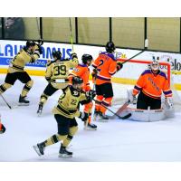 Wheeling Nailers react after a goal against the Reading Royals