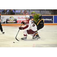 Peterborough Petes left wing Brennan Faulkner vs. the North Bay Battalion