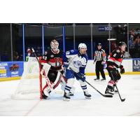 Belleville Senators' Mads Søgaard and Syracuse Crunch's Joël Teasdale on game night