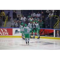 Florida Everblades celebrate win