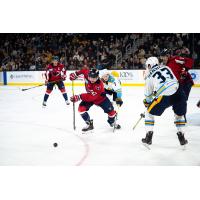 South Carolina Stingrays' Jordan Klimek battles Atlanta Gladiators' Easton Armstrong and Michael Marchesan