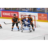 Syracuse Crunch and Lehigh Valley Phantoms on the ice