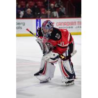 Goaltender Brady Smith with the Moose Jaw Warriors