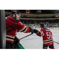 Tucson Roadrunners forward Kailer Yamamoto receives a high five on the ice