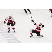 Belleville Senators react following a goal