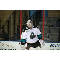 Tahoe Knight Monsters goaltender Jesper Vikman